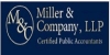Small Business CPA Long Island Avatar